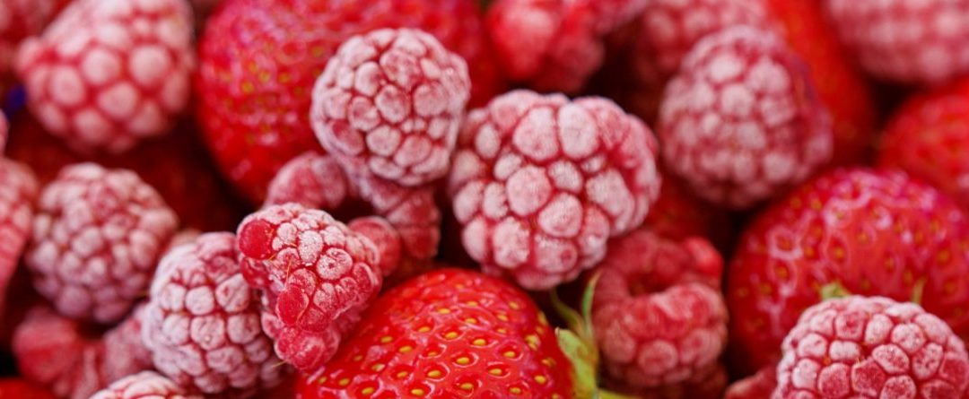 Fruta congelada IQF en España para horeca, pastelerias y heladerias