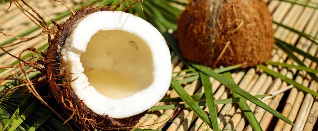 Nuevo puré de coco sin ralladura congelado