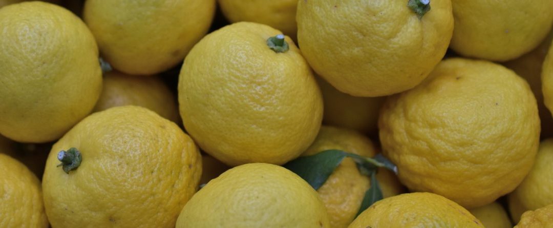 Yuzu, el tesoro cítrico de Oriente