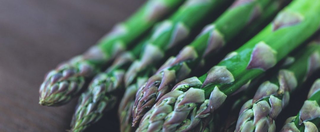 Espárrago verde congelado para profesionales, una infinidad de usos